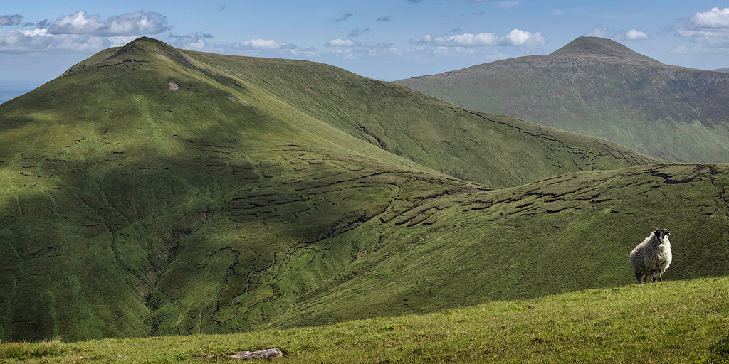 Galteemore from high in the Galtee Mountains