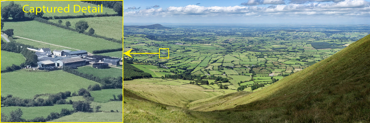 Sheep resting high above the farms of Limerick