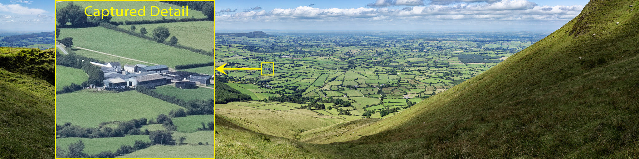 Sheep resting high above the farms of Limerick